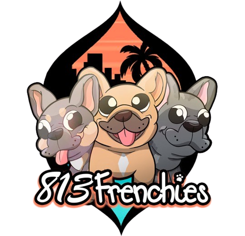 813 Frenchies logo, 813 Frenchies LLC, 813 Frenchies of Florida, 813 Frenchies of Tampa Florida