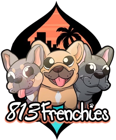 813 Frenchies